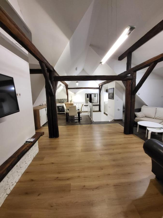דירות זאגרב Apartman Buzanova מראה חיצוני תמונה